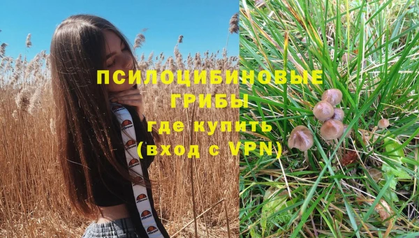 прущая мука Абаза