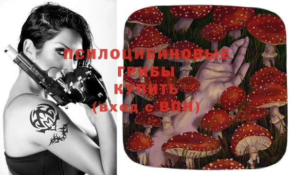 кокс Абдулино