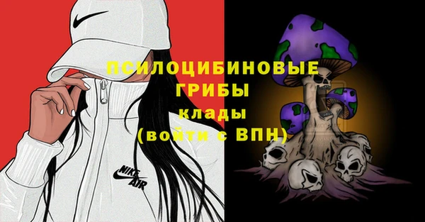 прущая мука Абаза