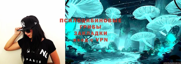 прущая мука Абаза